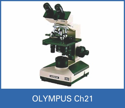 OLYMPUS CH21.jpg